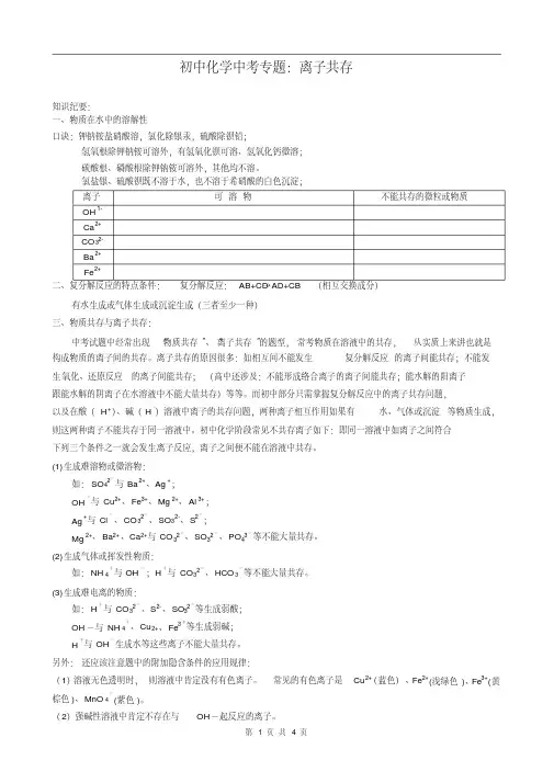 初三化学专题：离子共存51675