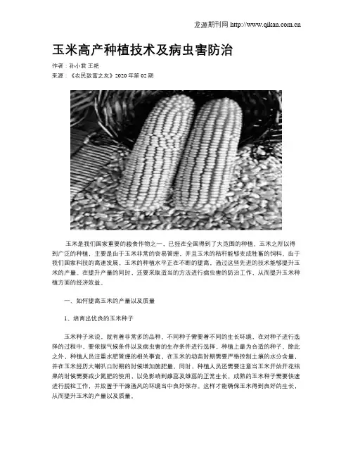 玉米高产种植技术及病虫害防治