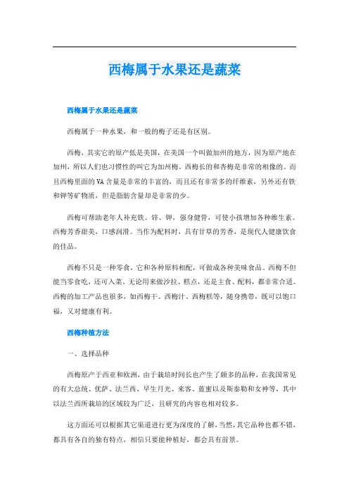 西梅属于水果还是蔬菜