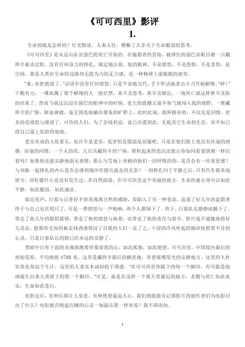可可西里影评