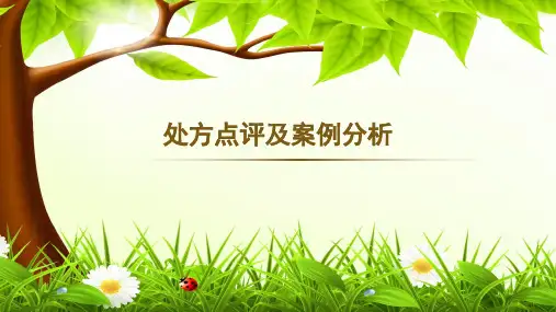 处方点评及案例分析ppt课件