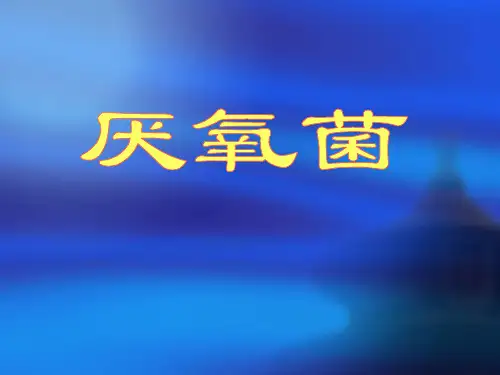 厌氧菌的种类与人体分布