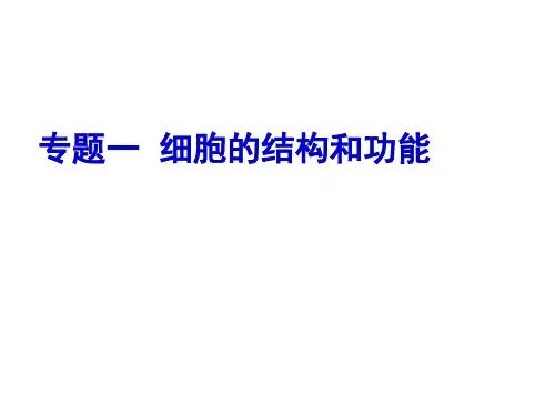 专题一:细胞的结构