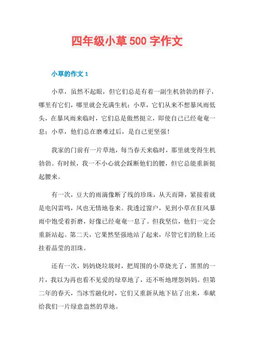 四年级小草500字作文