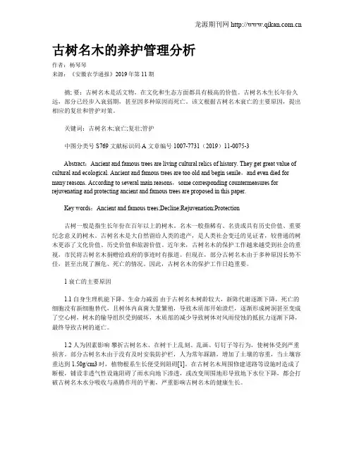 古树名木的养护管理分析