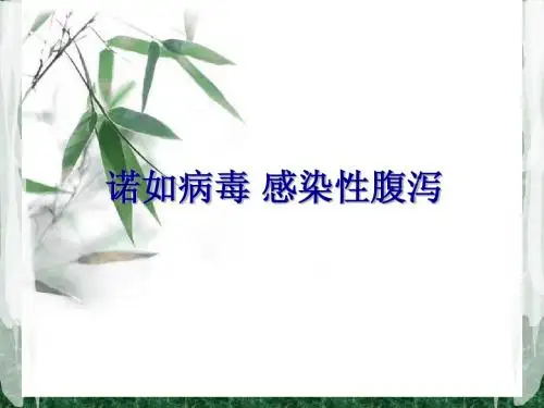 2014年12月诺如病毒_感染性腹泻