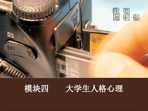 大学生人格发展资料