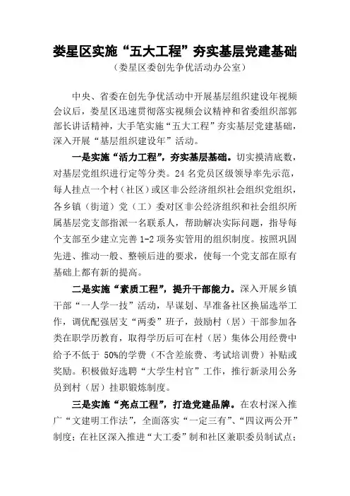 娄星区实施“五大工程”夯实基层党建基础