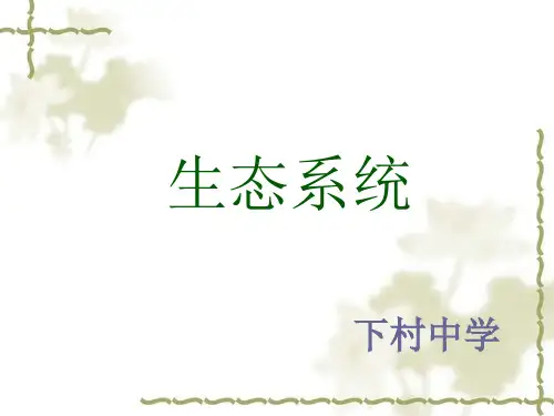 生态系统(完整版)