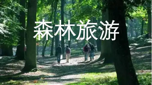 旅游热词-森林旅游