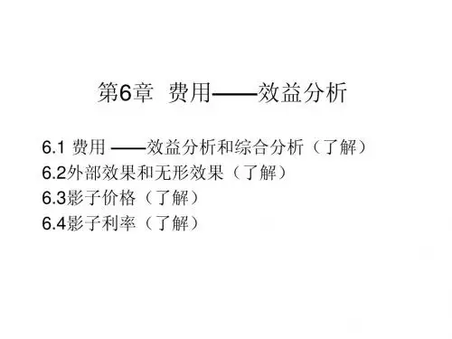 第6章 费用——效益分析