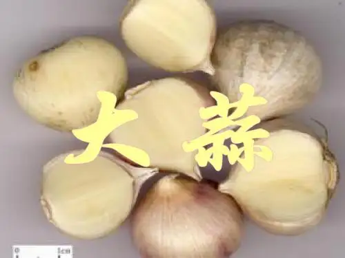 大蒜