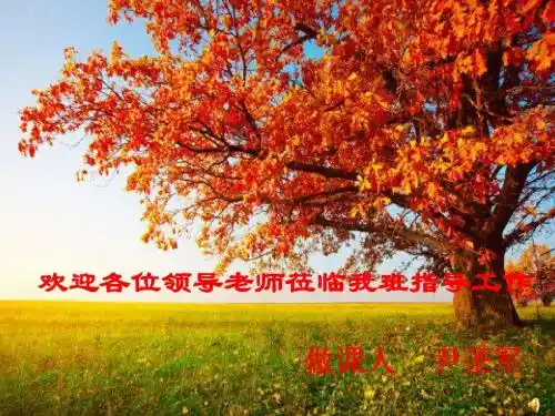 人教版六年级数学上册第三单元除法应用题(例1)