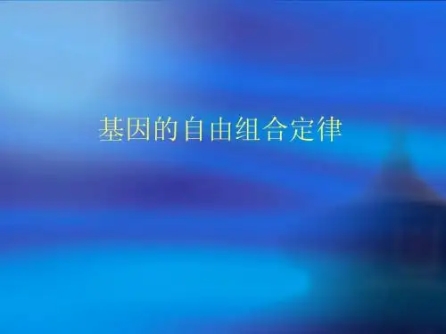 基因的自由组合定律1