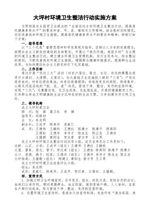 大坪村环境卫生整治行动实施方案