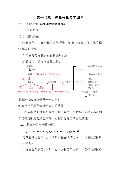 第十二章  细胞分化及其调控