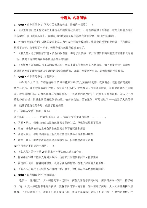山东省滨州市2019年中考语文专题复习专题九名著阅读训练(含答案)