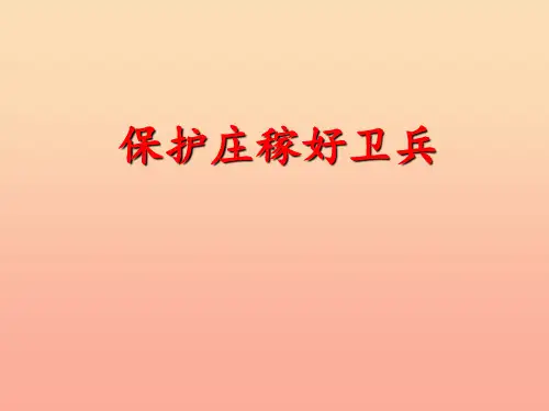 2019二年级语文上册 识字一 保护庄稼好卫兵课件 语文S版
