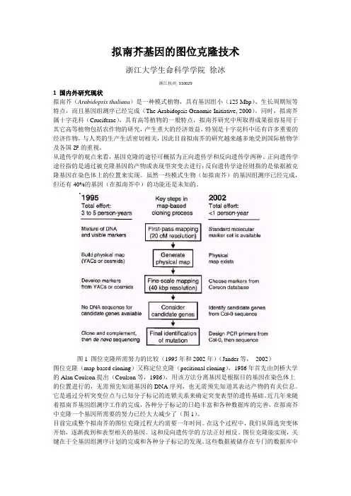 拟南芥的图位克隆技术