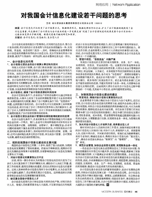 对我国会计信息化建设若干问题的思考