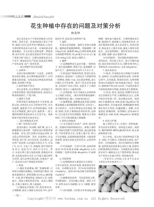 花生种植中存在的问题及对策分析