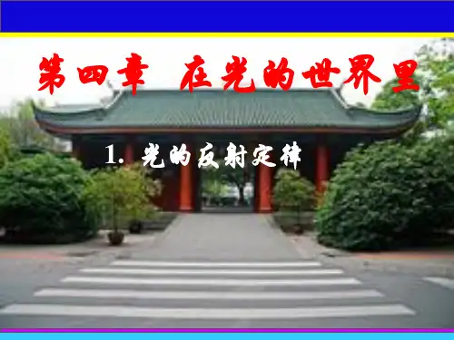 初中物理《光的反射定律》(共16张)ppt1
