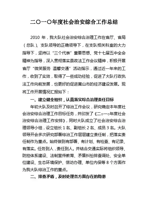 2010年度社会治安综合工作总结