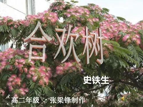 人教版选修《中国现代诗歌散文欣赏》散文第三单元《合欢树》课件
