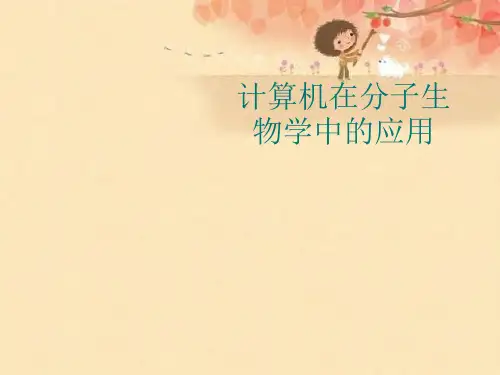 计算机在分子生物学中的应用优秀课件
