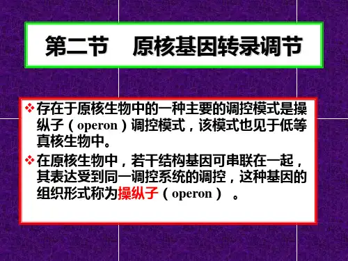 原核基因转录调节