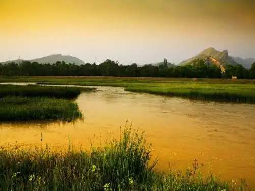 语文六年级滹沱河和我