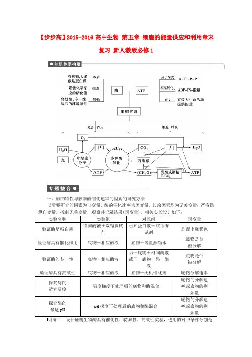新人教版生物必修1第五章《细胞的能量供应和利用》word章末复习题