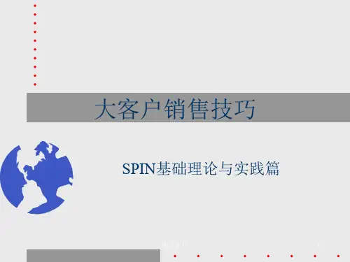 大客户销售技巧-SPIN基本理论和实践篇总结.ppt