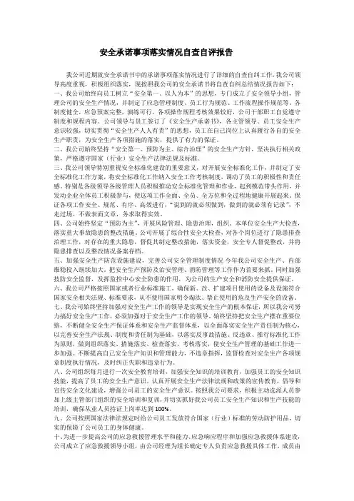 企业履行承诺情况年度报告