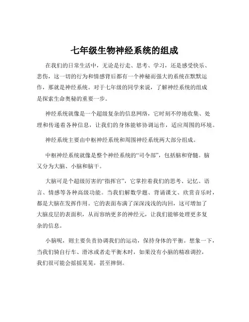 七年级生物神经系统的组成