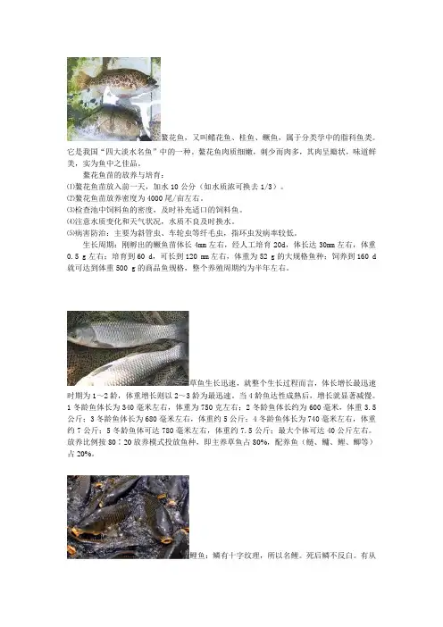 鳌花鱼,又鳍花鱼、桂鱼、鳜鱼,属于分类学中的脂科鱼类
