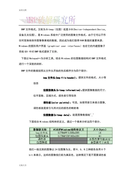 bmp文件资料格式详解