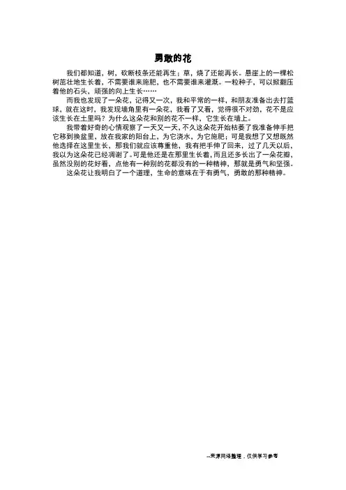 勇敢的花_状物作文