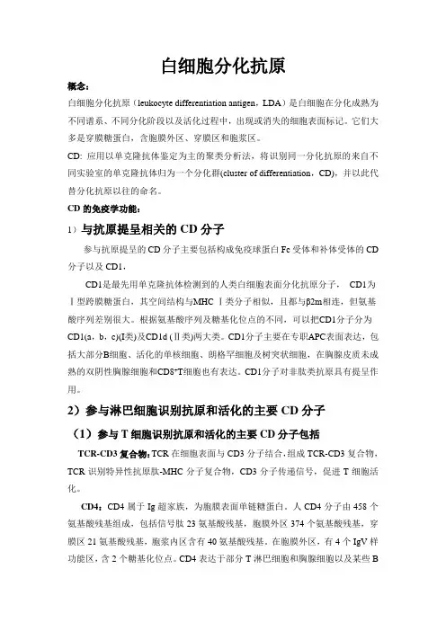 白细胞分化抗原