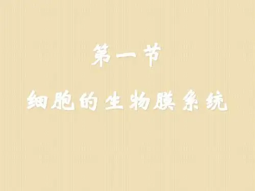 生物：3.2《细胞的生物膜系统》课件(新人教版必修1)