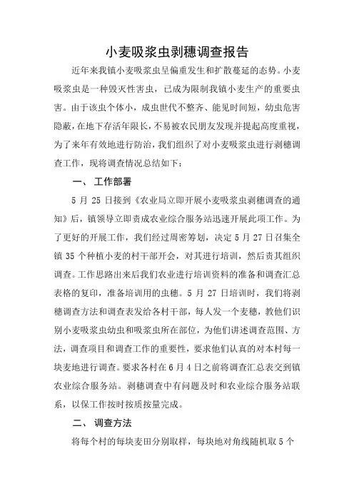 小麦吸浆虫调查报告1