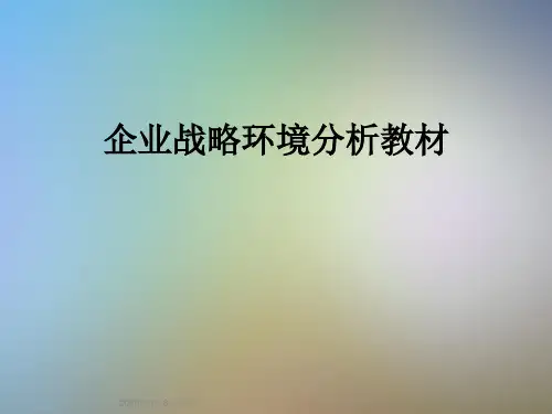企业战略环境分析教材