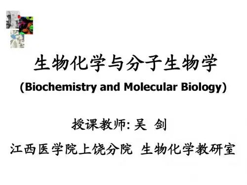 生化绪论(全科医学)