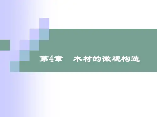 第4章 木材的微观构造