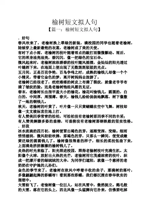 榆树短文拟人句
