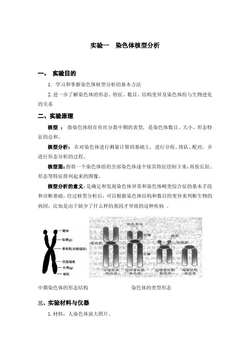 实验一 染色体核型分析