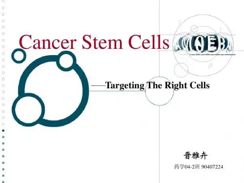 cancer stem cells