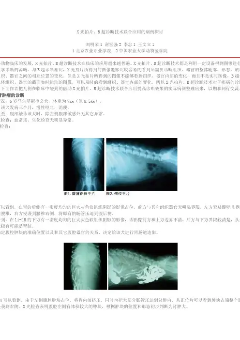 X光拍片、B超诊断技术联合应用的病例探讨