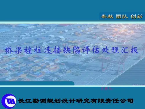 缺陷处理汇报修改版
