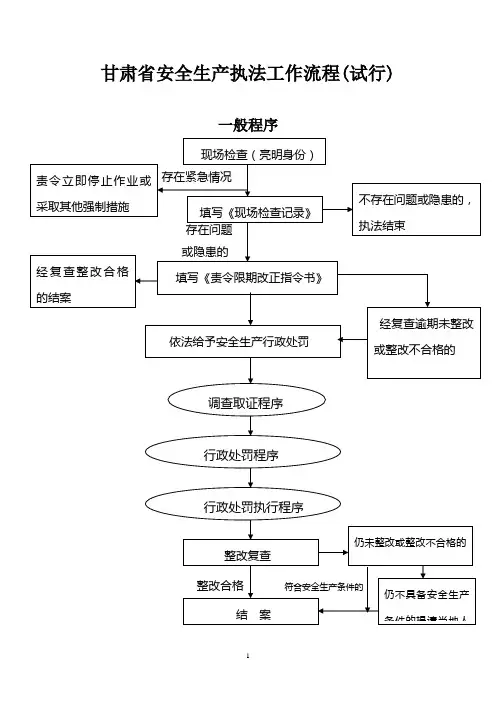 甘肃省安全生产执法工作流程